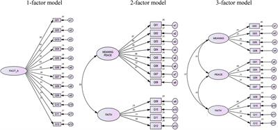 Evidence of validity of internal structure of the Functional Assessment of Chronic Illness Therapy-Spiritual Well-Being Scale (FACIT-Sp-12) in Brazilian adolescents with chronic health conditions